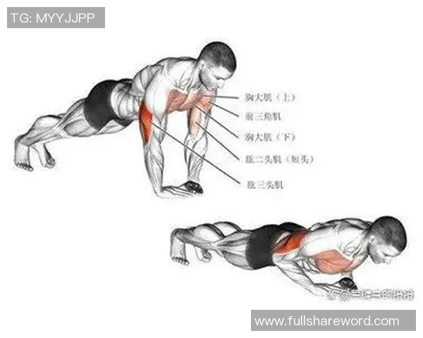 使用哑铃有效锻炼肱三头肌的最佳方法与技巧分享