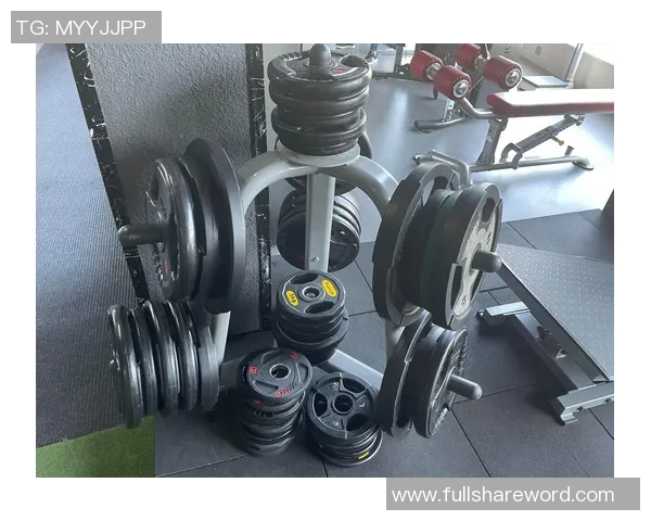 全面解析各类体育健身器材的特点与选择指南助你打造完美健身计划